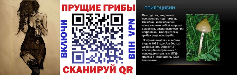 Псилоцибиновые грибы Cubensis Купить закладки Калининец